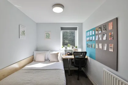 Stanza privata in Elvetham Road, Birmingham, B15 2NL, immagine 42 di 49