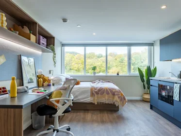 单间公寓 在住宅内 在 56 Brown St, Dundee DD1 5EJ, United Kingdom, 34的图像31