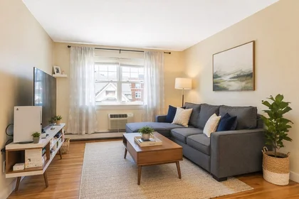 Całe miejsce 30, Chester, Unit 13, Davis Square, Somerville, MA, 02144, obraz 1 10