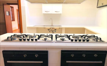 Chambre privée à Via Alessandro Brisse, image 11 de 30