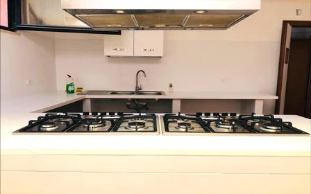 Chambre privée à Via Alessandro Brisse, image 14 de 30