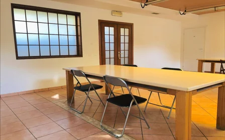 Chambre privée à Via Alessandro Brisse, image 16 de 30