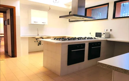 Chambre privée à Via Alessandro Brisse, image 9 de 30