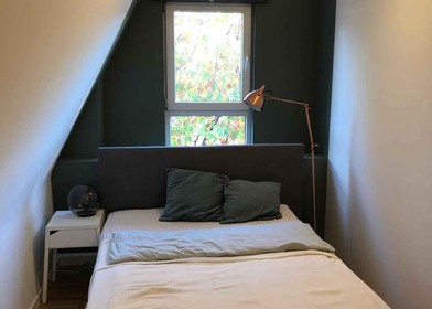 Location mensuelle de chambres à koln