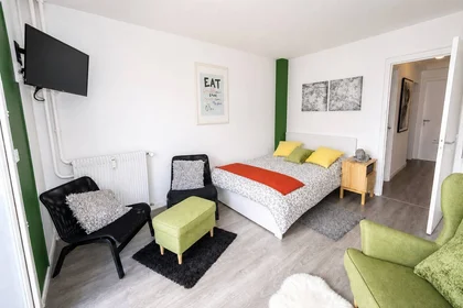 Alquiler de habitaciones por meses en {area}