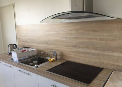 Chambre à louer dans un appartement en colocation à Angers