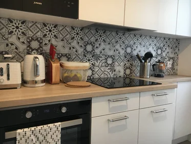 Özel oda konumu Grenoble, 38000, 1 20 görüntüsü