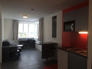 Prywatny pokój Grenoble, 38000, obraz 1 7