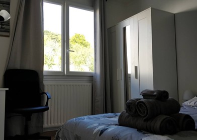 Pokój do wynajęcia z podwójnym łóżkiem w Grenoble
