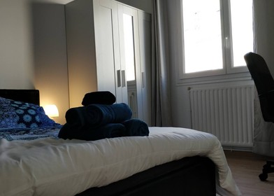 Bright private room in Grenoble