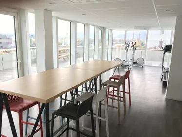 Prywatny pokój w rezydencji Grenoble, 38000, obraz 7 7