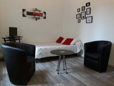 Prywatny pokój Pau, 64000, obraz 1 7