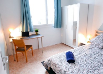 Bright private room in Pau