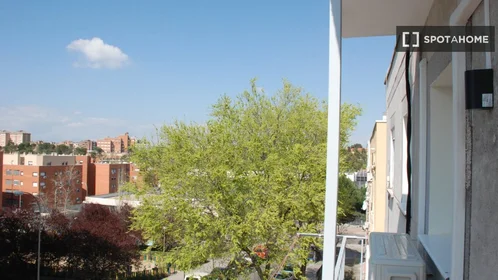Logement entier à C. de Joaquín Dicenta, image 16 de 19