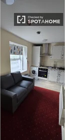 Studio at North Circular Road, image 2 of 5