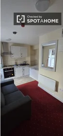 Studio at North Circular Road, image 3 of 5