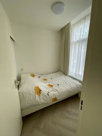 Entire place at Piet Heinstraat, image 6 of 9