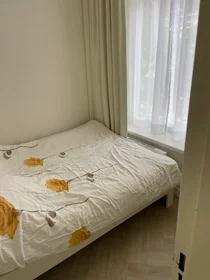 Entire place at Piet Heinstraat, image 7 of 9