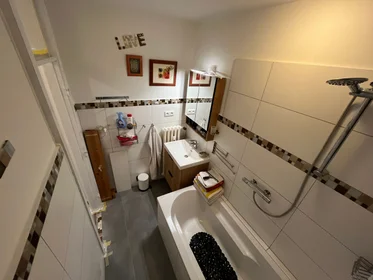 Gesamte Unterkunft in der Böcklerstraße, 32, bild 14 von 20