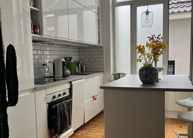 Komplette Wohnung voll möbliert in Brüssel/brüssel