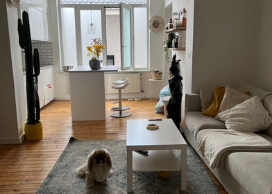 Komplette Wohnung voll möbliert in Brüssel/brüssel