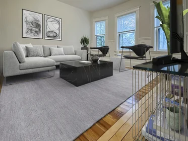 Logement entier en résidence à 55, Hollander St., Unit 2, Roxbury, Boston, MA, 02121, image 1 de 11