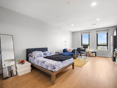 Studio in residence at 9, Central St., Unit 409, Spring Hill, Somerville, MA, 02143, image 11 of 14