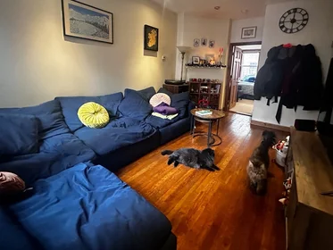 Logement entier en résidence à 71, Myrtle, Unit 101, Beacon Hill, Boston, MA, 02114, image 8 de 9