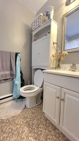 Logement entier en résidence à 200, Kelton St., Unit 14, Allston, Boston, MA, 02134, image 6 de 7