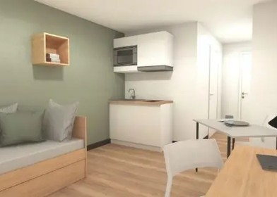 Stylowe mieszkanie typu studio w Grenoble