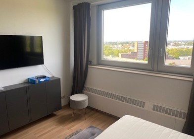 Accommodation in the centre of Cologne