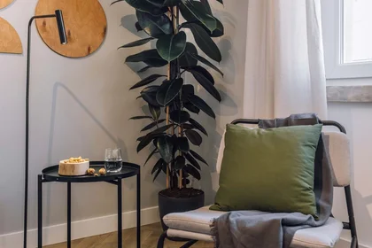 Gesamte Unterkunft in der Avenida Ressano Garcia 34, 1070-095 Lisboa, Portugal, bild 11 von 22