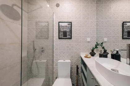 Gesamte Unterkunft in der Avenida Ressano Garcia 34, 1070-095 Lisboa, Portugal, bild 20 von 22