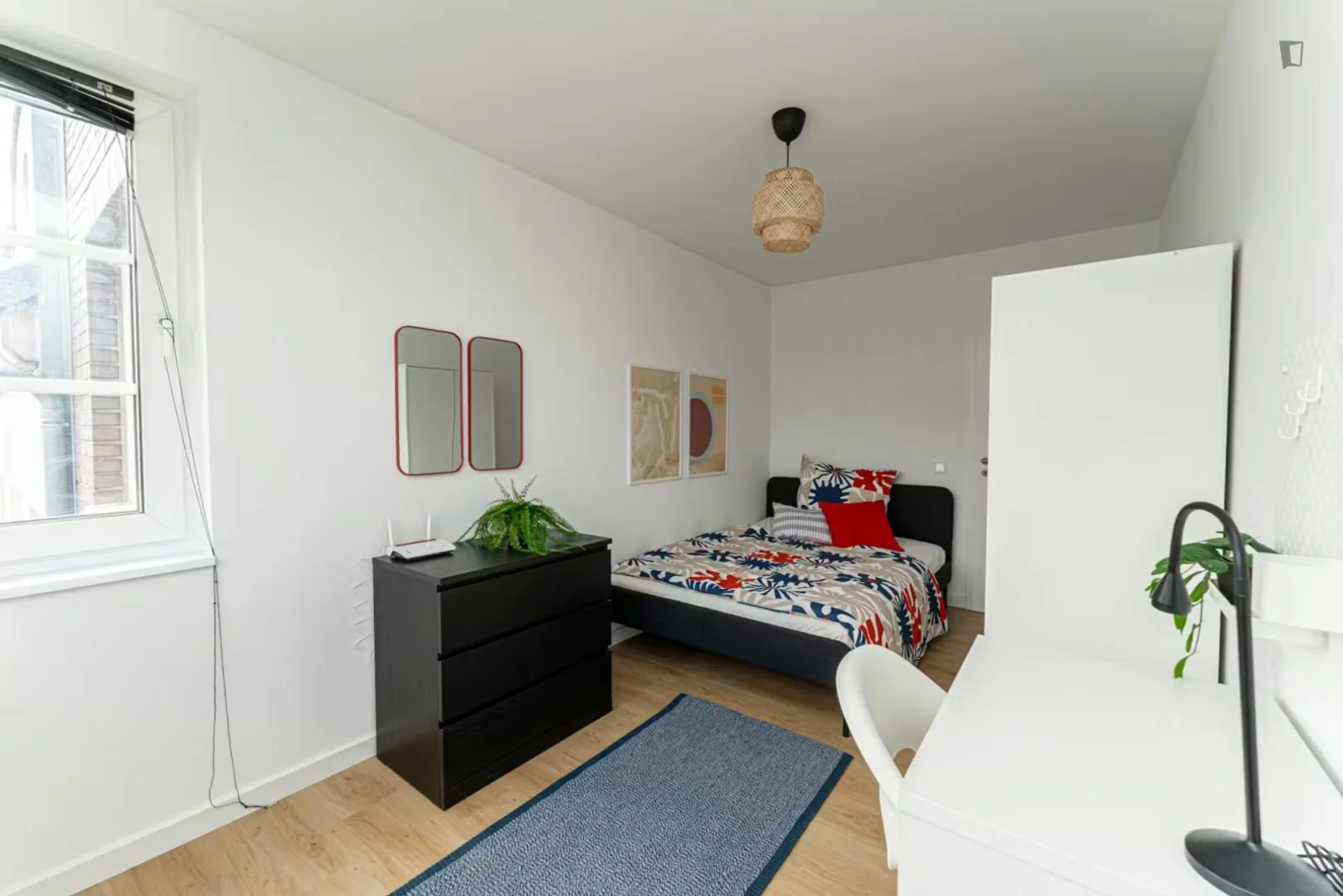 Affordable room for students with ample lighting in 