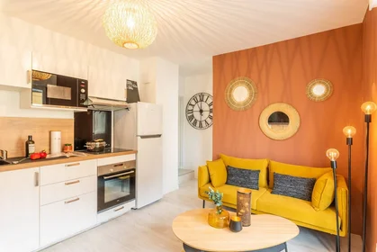 Prywatny pokój Strasbourg, 67000, obraz 1 10