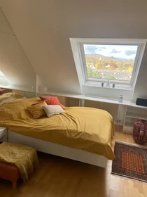 Chambre privée à Görgengasse, Döbling, image 1 de 9