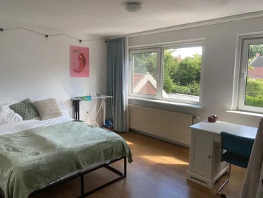 Private room at Ribbeltsweg, image 1 of 7