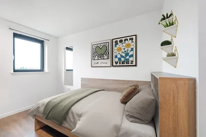 Private room in residence at 577 N End Rd, London, Wembley HA9 0QJ, United Kingdom           , image 1 of 20