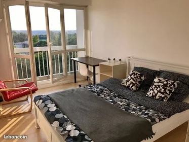 Stanza privata in Cergy, 95000, immagine 3 di 26