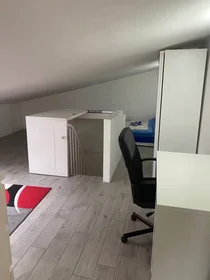 Habitación privada en Via di Tor Vergata, Municipio VII, imagen 10 de 10
