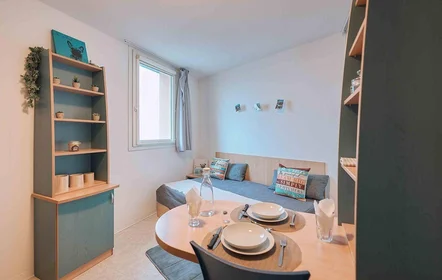 Private room in residence at Clermont-Ferrand, 63000, image 3 of 9