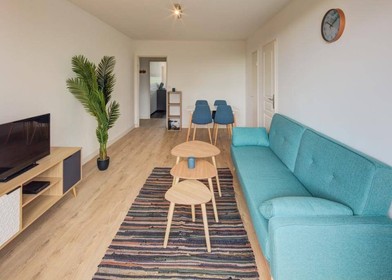 Room for rent with double bed Pau