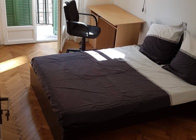 Stanza privata con letto matrimoniale Nice
