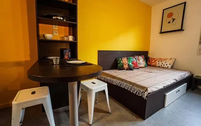 Prywatny pokój w rezydencji Lyon 8e Arrondissement, 69008, obraz 6 6