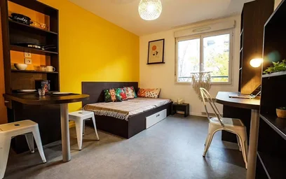 Prywatny pokój w rezydencji Lyon 8e Arrondissement, 69008, obraz 1 6