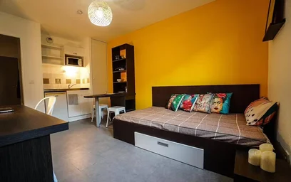 Prywatny pokój w rezydencji Lyon 8e Arrondissement, 69008, obraz 3 6