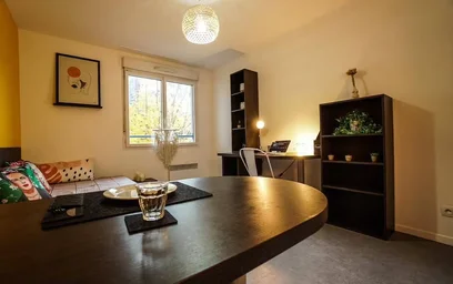 Prywatny pokój w rezydencji Lyon 8e Arrondissement, 69008, obraz 4 6