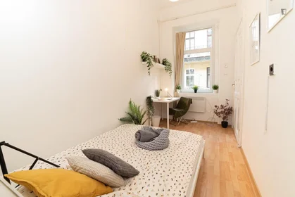 Chambre privée à Teréz Körút, image 1 de 10