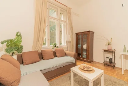 Chambre privée à Váci utca, image 8 de 17