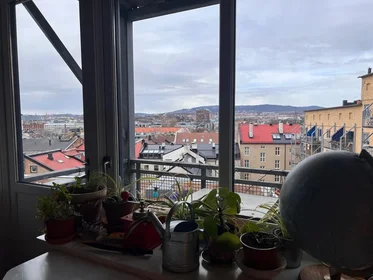 Entire apartment at Sørligata 10 C, image 10 of 12